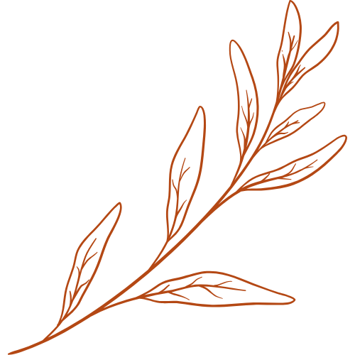 Christine Medrano Zweig groß rot