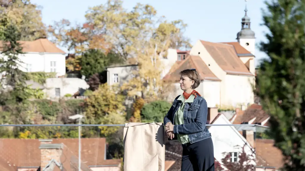 Christine Lipp-Medrano – Beratung zu Business-Finanzen